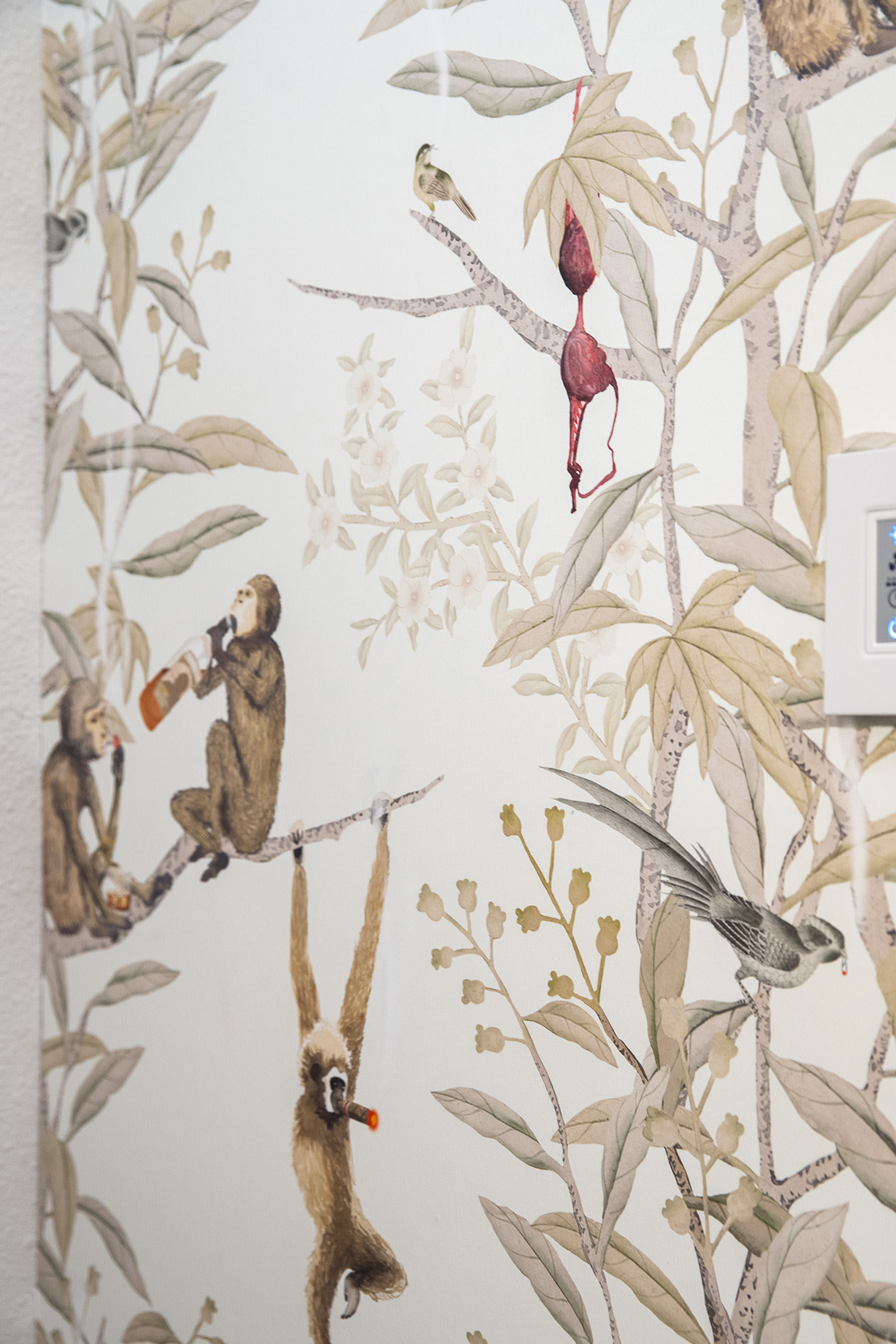 custom wallpaper drinking monkeys